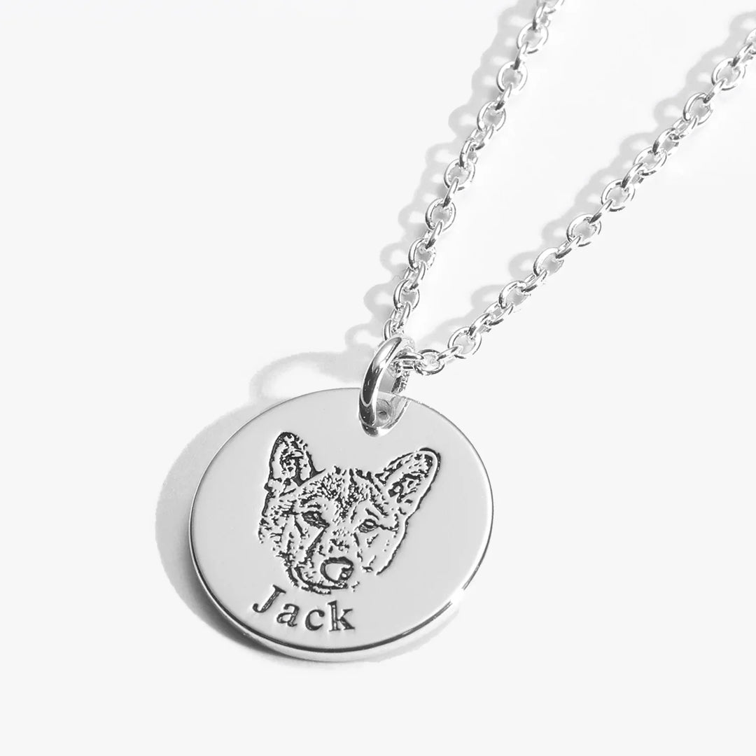 Collar Personalizado con Retrato de tu Mascota