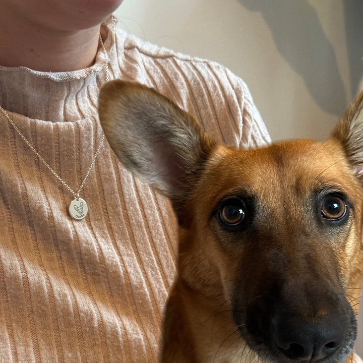 Collar Personalizado con Retrato de tu Mascota