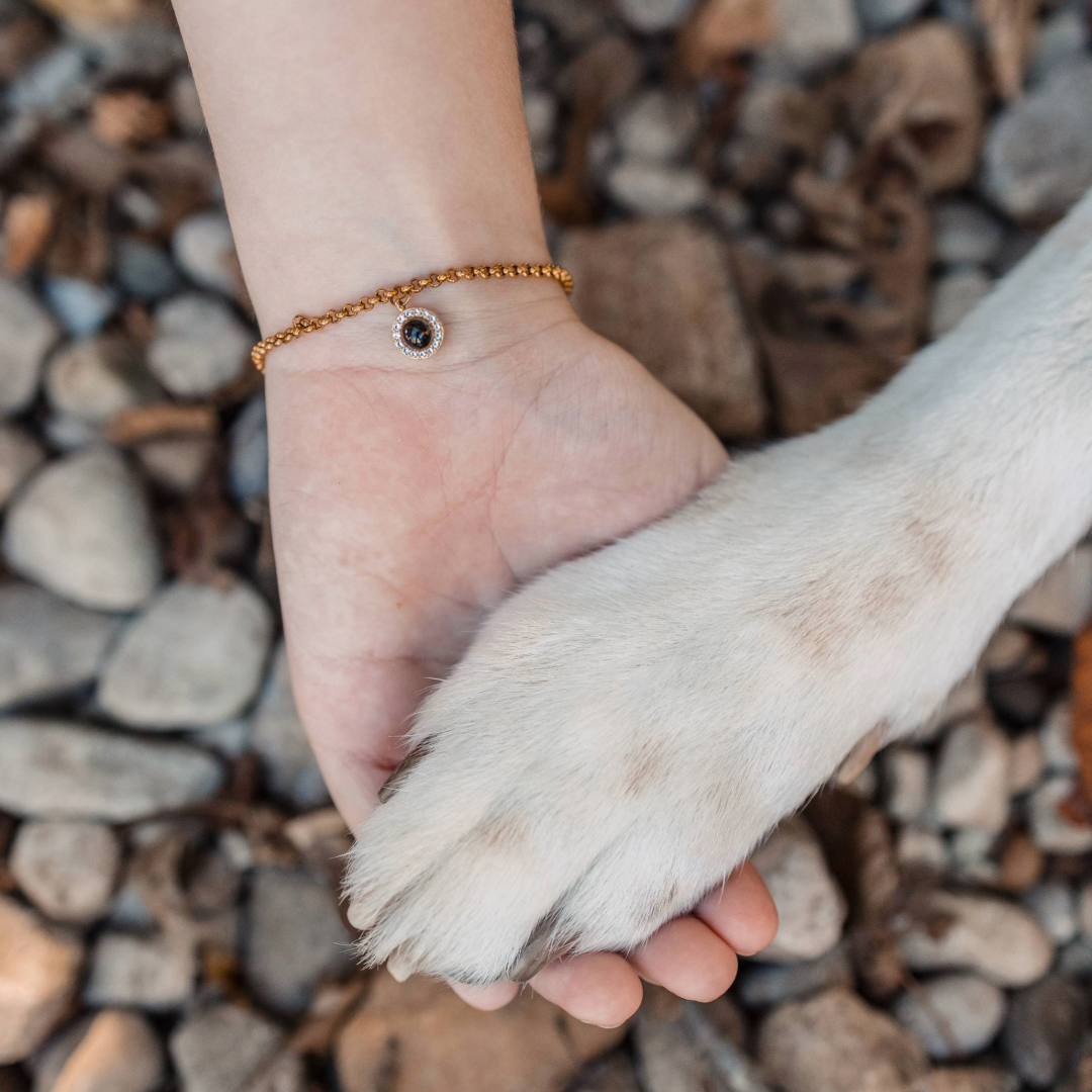 Pulsera Personalizada con Foto de tu Mascota